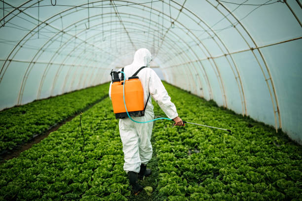 Reliable Watergate, FL Pest Control Solutions