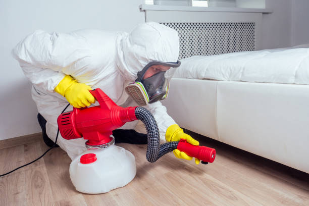 Best Termite Control Services  in Watergate, FL