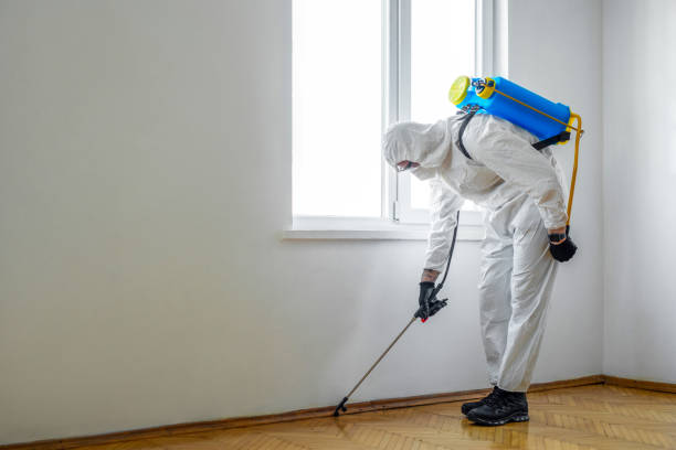 Best Insect Control  in Watergate, FL