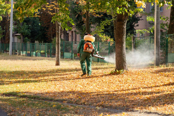Best Cockroach Control Services  in Watergate, FL