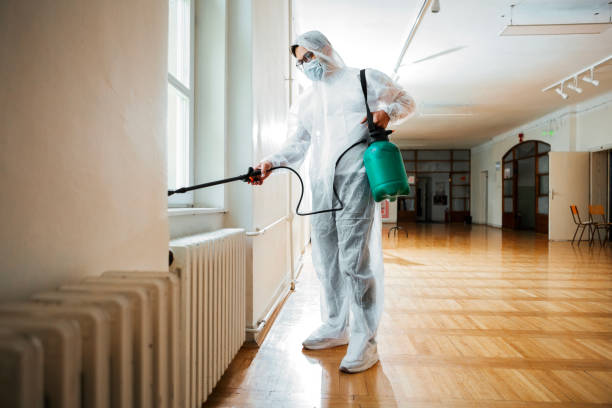 Best Flea Control Services  in Watergate, FL