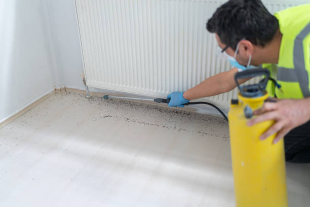 Insect Control in Watergate, FL